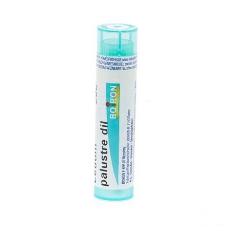 Ledum Palustre 200K Gr 4g  -  Boiron