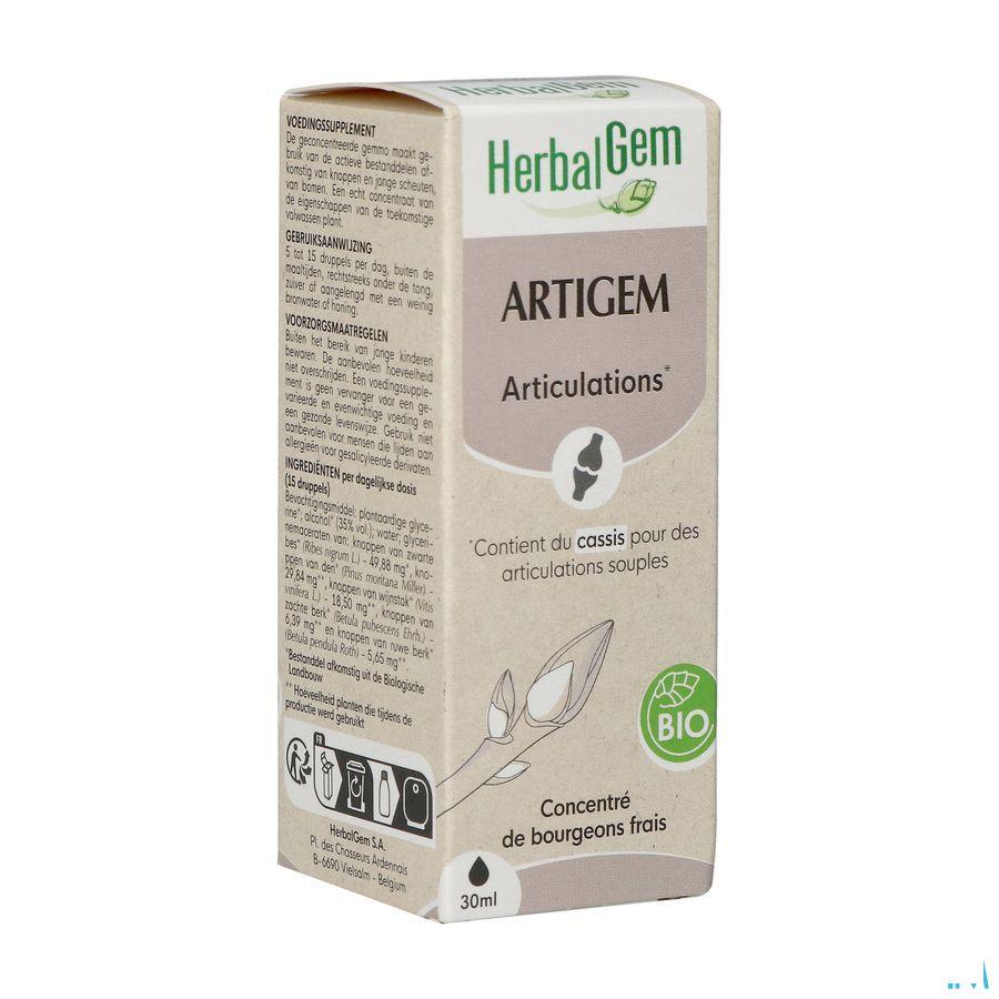 Herbalgem Artigem Bio 30 ml