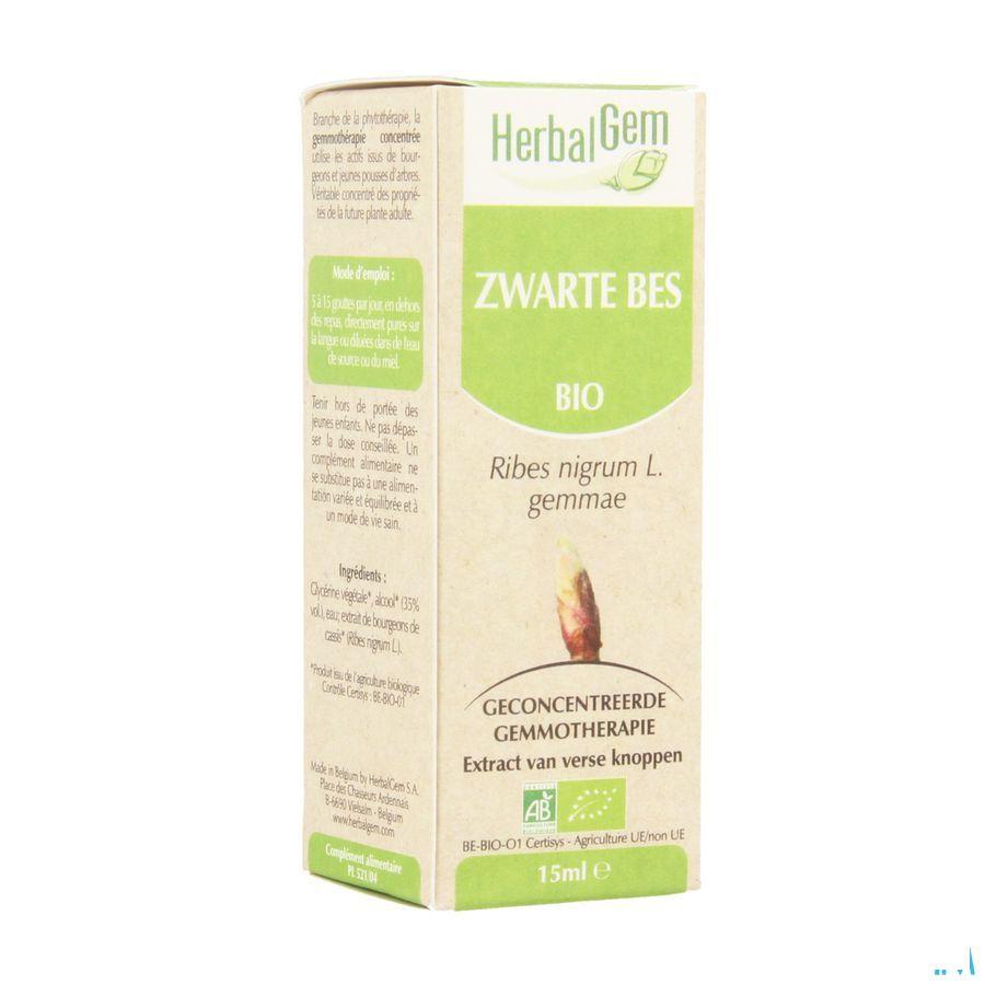 Herbalgem Zwarte Bes Maceraat 15 ml  -  Herbalgem