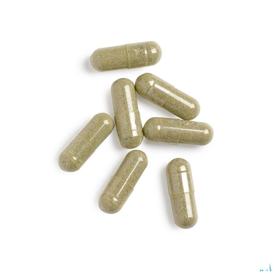 Biotics Immunozyme Forte 90 capsules  -  Energetica Natura