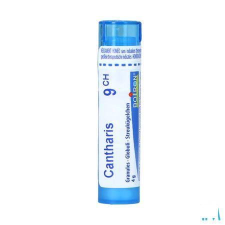 Cantharis 9CH Gr 4g  -  Boiron