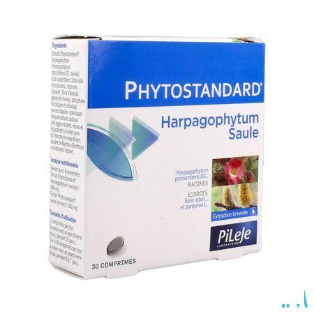 Phytostandard Harpagophytum-wilg Blist.comp 2x15  -  Pileje