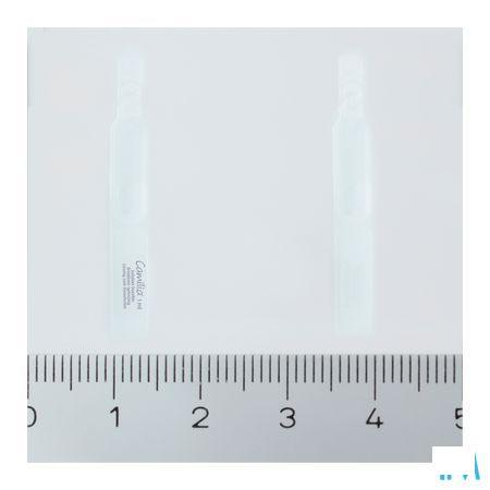 Camilia Unidoses 30x1ml  -  Boiron