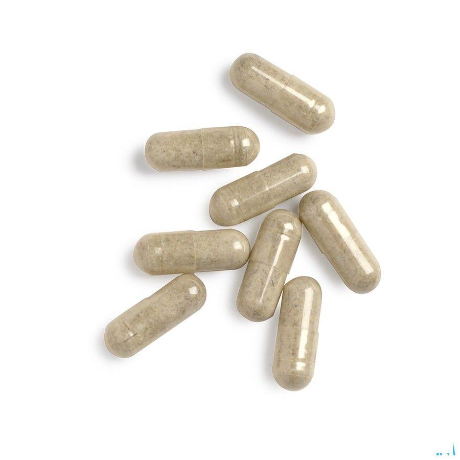Biotics IPS 90 gélules  -  Energetica Natura