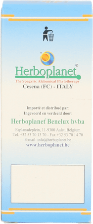 Quercus Peduncolata Msa Maceraat Druppels 50 ml  -  Herboplanet
