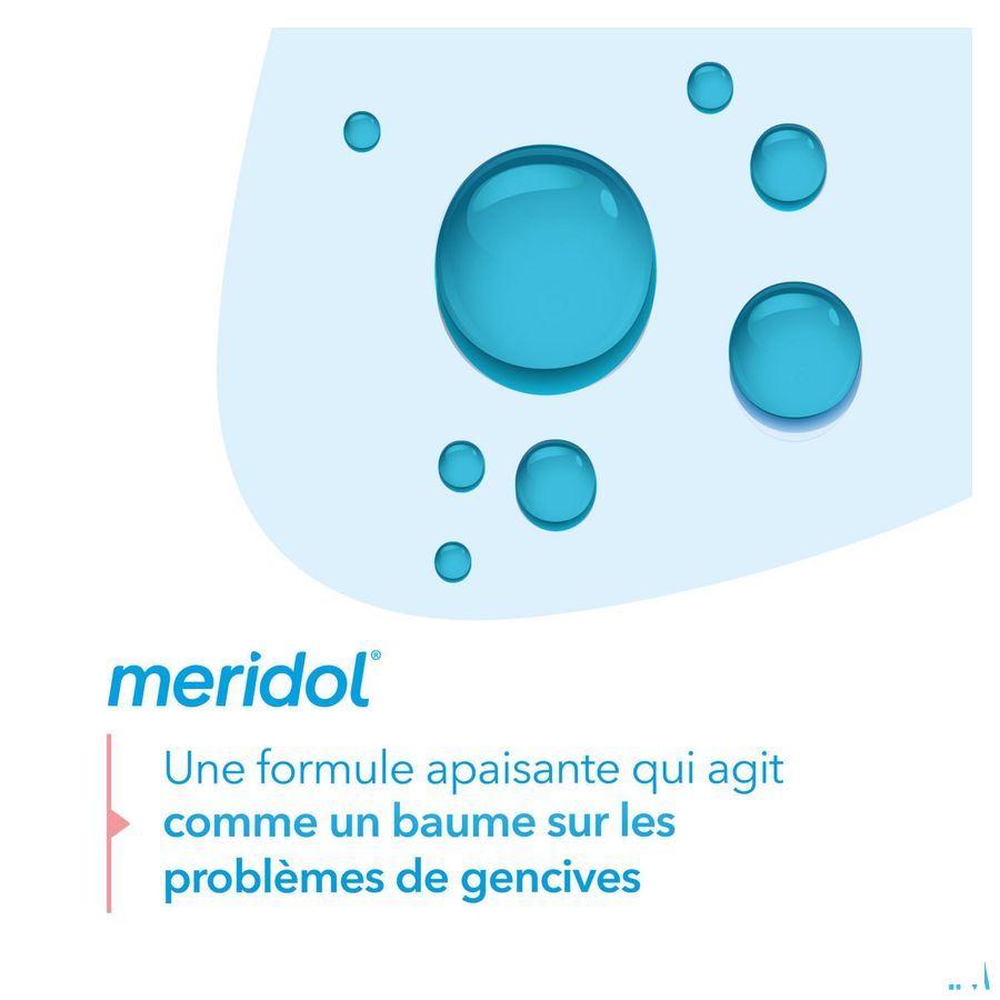 Meridol Eau Buccale Protect. Gencives & Hal.Fr.400 ml