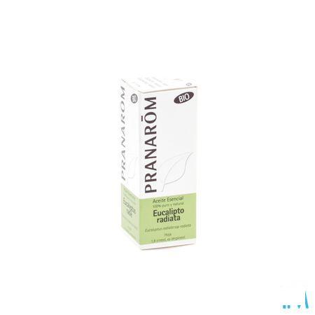 Eucalyptus Radie Bio Essentiele Olie 10 ml  -  Pranarom