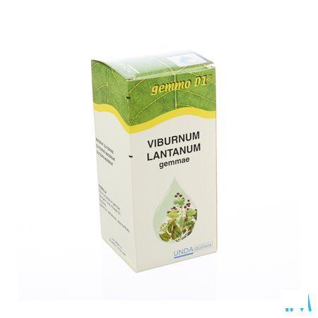 Viburnum Lant. Gemmo D1 125 ml  -  Boiron