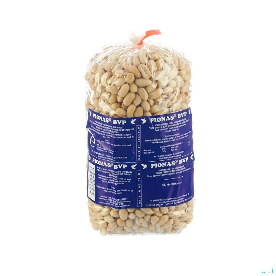 Pionas Pindas Duiven 900 gr