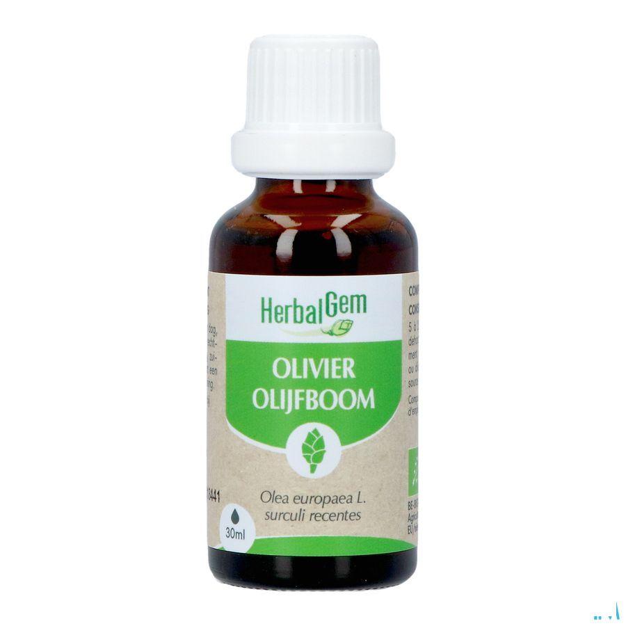 Herbalgem Olijfboom Bio 30 ml