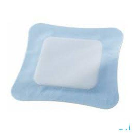 Vliwasorb Pro Pansement 22X22Cm 10 32643