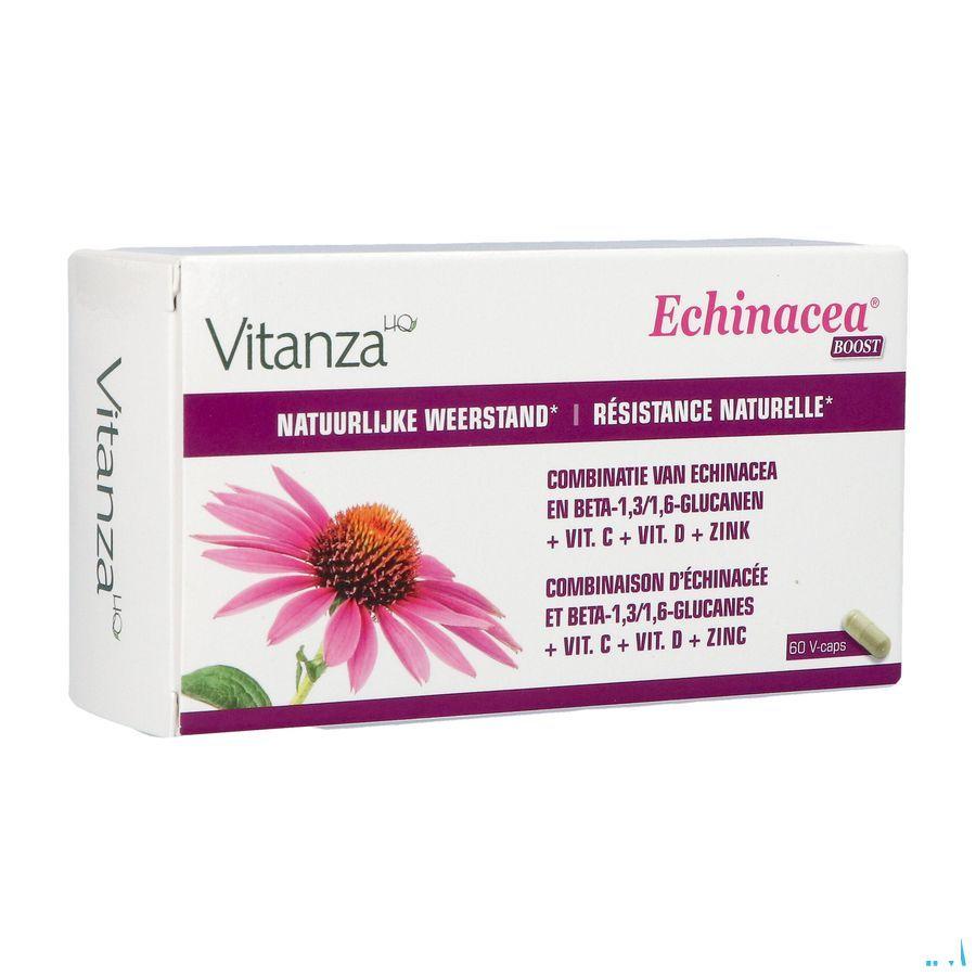 Vitanza Hq Echinacea Boost V-Capsule 60  -  Yvb