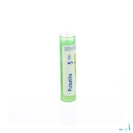 Pulsatilla 5CH Gr 4g  -  Boiron