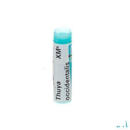 Thuya Occidentalis XMK Gl  -  Boiron