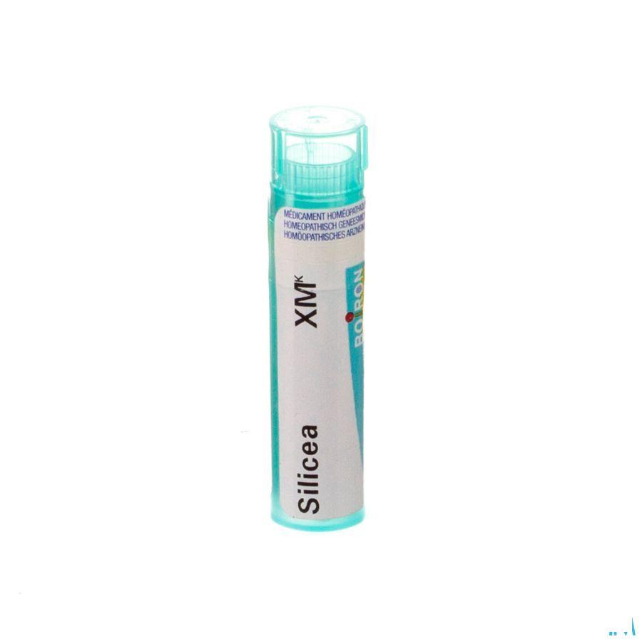 Silicea XMK Gr 4g  -  Boiron