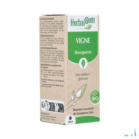 Herbalgem Vigne Bio 30 ml