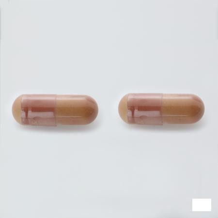 Alline Procap Capsule 180  -  Trenker