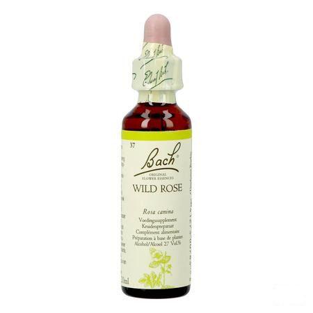 Bach Flower Remedie 37 Wild Rose 20 ml