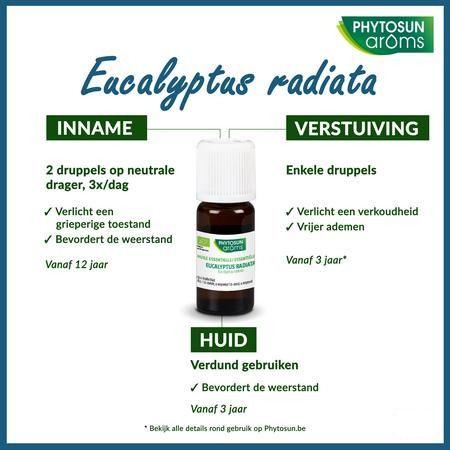 Phytosun Euc. Radiata Fr-bio-01 10 ml