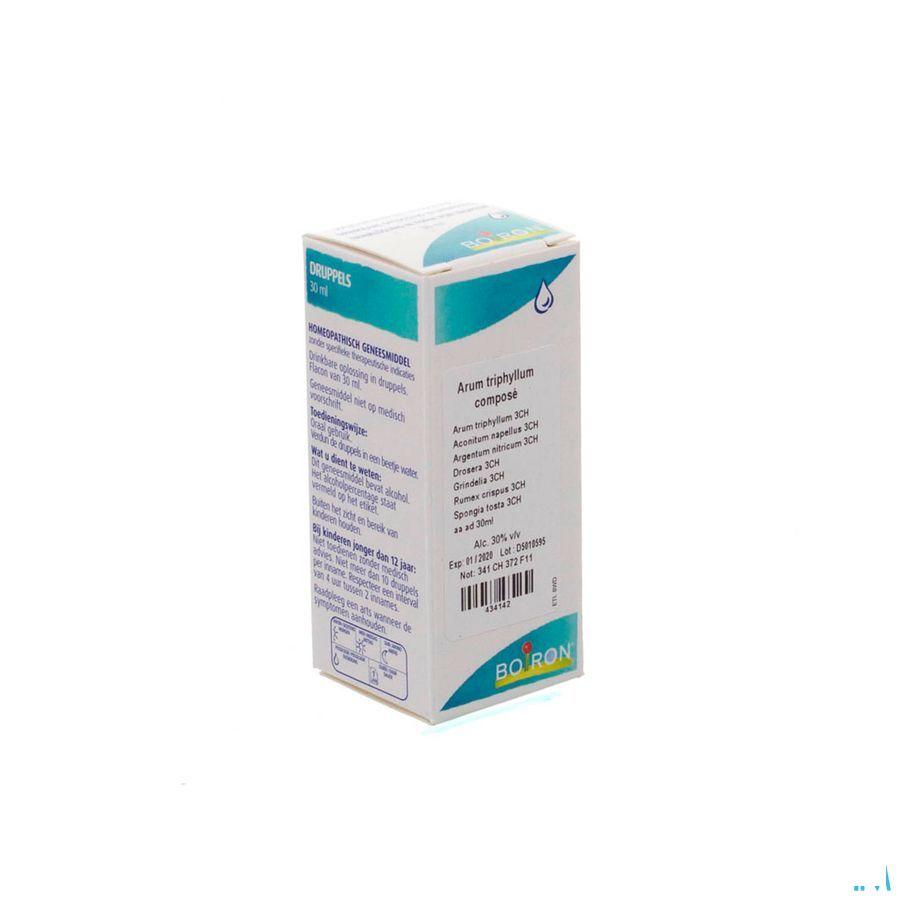 Arum Triphyl.complex Gouttes 30 ml  -  Boiron