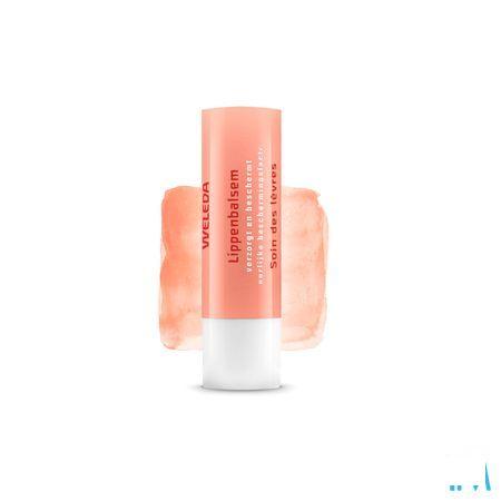 Weleda Lippenbalsem Everon Stick 4g  -  Weleda