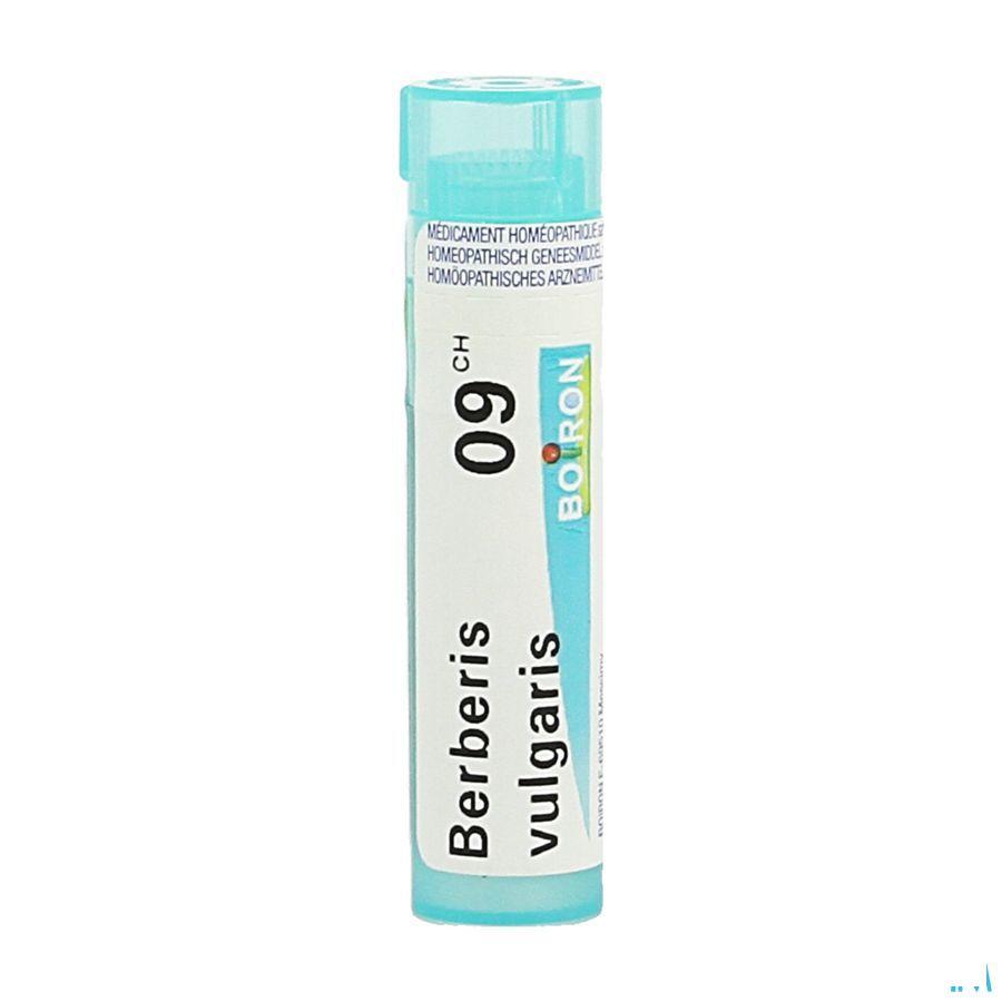 Berberis Vulgaris 9CH Gr 4g  -  Boiron