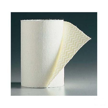 Biplast Bande Contention Adhesive Blanc 10cmx2,5m 1  -  Thuasne Benelux