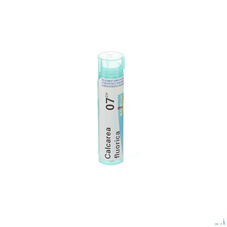 Calcarea Fluorica 7CH Gr 4g  -  Boiron