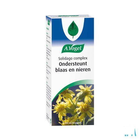 Vogel Solidago Complex Druppels 100 ml  -  A.vogel