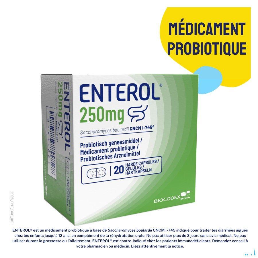 Enterol 250 mg Capsule Harde Dur 50 X 250 mg