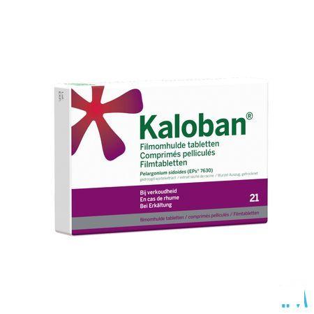 Kaloban 21 Comprimes  -  VSM