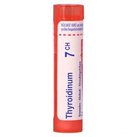 Thyroidinum 7CH Gr 4g  -  Boiron