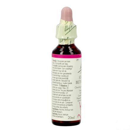 Bach Flower Remedie 29 Star Bethlehem 20 ml