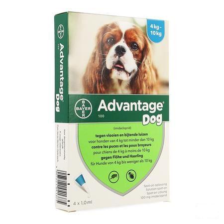 Advantage 100 Honden 4