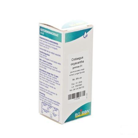 Crataegus Oxyacantha Gemmo D1 60 ml  -  Boiron