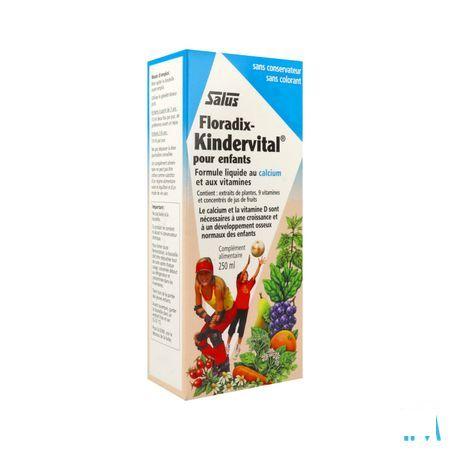 Salus Floradix Kindervital Elexir 250 ml  -  Ocebio