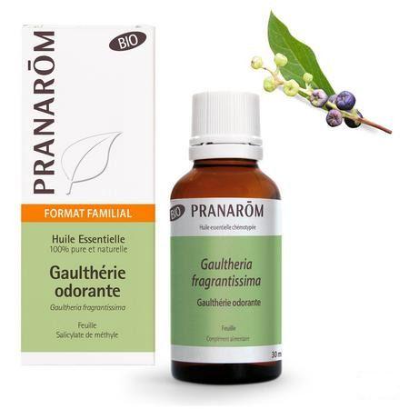 Bergthee Bio Essentiele Olie 30 ml  -  Pranarom