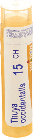Thuya Occidentalis 15CH Gr 4g  -  Boiron