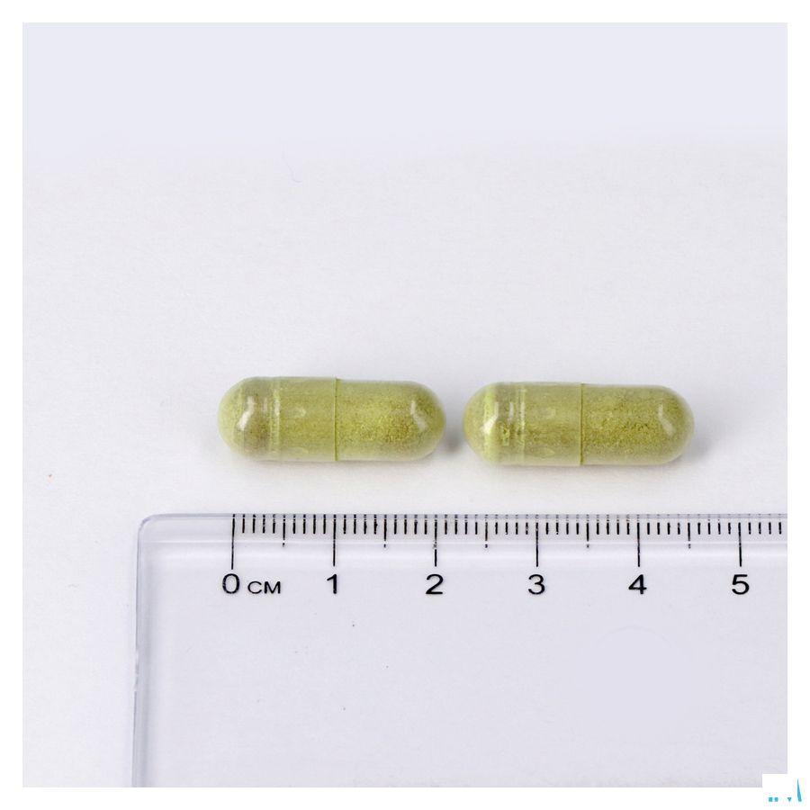 Lepivits Circu Plus Caps 60 Nf  -  Lepivits