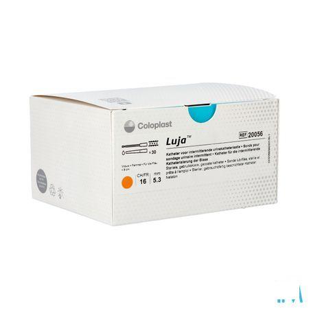 Luja Vrouw Ch16 30 20056