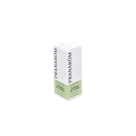 Solidage Du Canada Huile Essentielle 5 ml  -  Pranarom