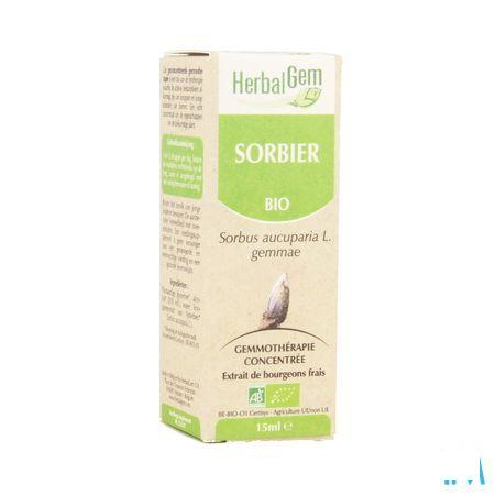 Herbalgem Lijsterbes Maceraat 15 ml  -  Herbalgem