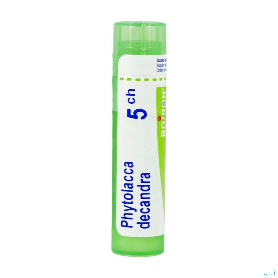 Phytolacca Decandra 5CH Gr 4g  -  Boiron