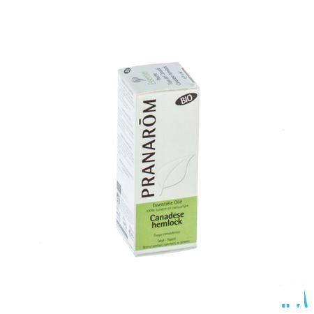Tsuga Canadensis Bio Essentiele Olie 5 ml  -  Pranarom