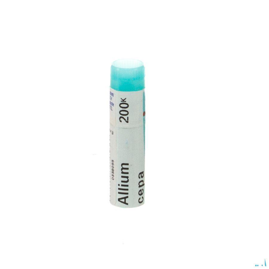 Allium Cepa 200K Gl  -  Boiron