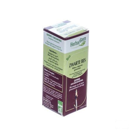 Herbalgem Zwarte Bes Maceraat 15 ml  -  Herbalgem