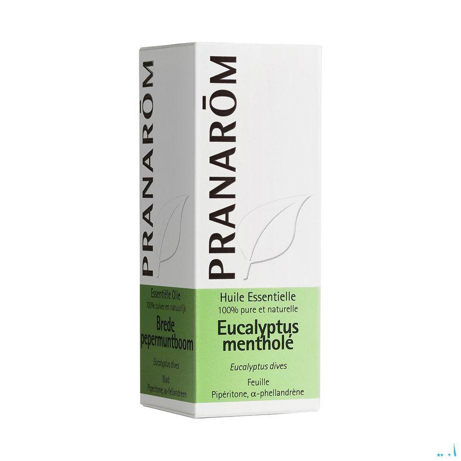 Eucalyptus Menthol Essentiele Olie 10 ml  -  Pranarom