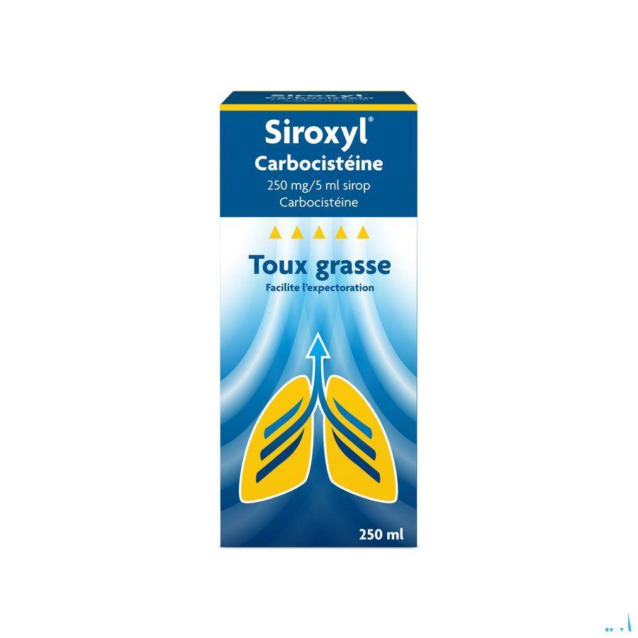 Siroxyl Carbocisteine 250Mg/5 ml Siroop 250 ml  -  Melisana