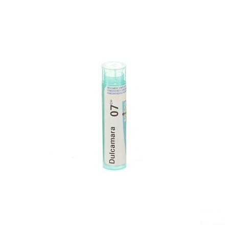Dulcamara 7CH Gr 4g  -  Boiron