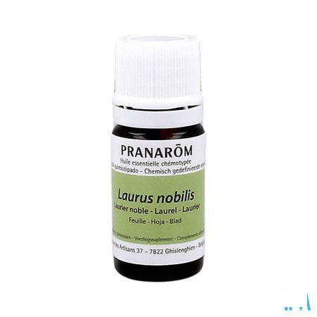 Laurier Noble Huile Essentielle 5 ml  -  Pranarom